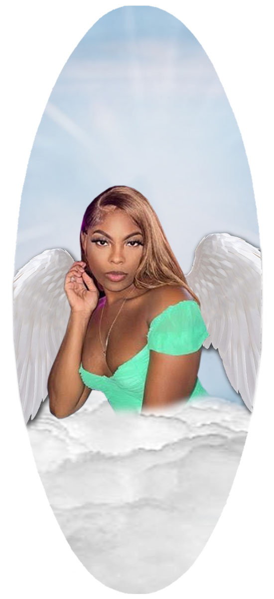 A18 BL Sky Wings (Springer) PROOF